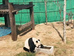 -西霞口神雕山野生动物世界