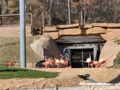 -沈阳森林动物园