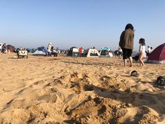 -碧海金沙