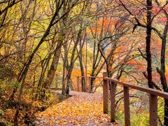 -叠溪松坪沟景区
