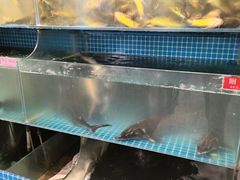 -大鹅岛灶台鱼·铁锅炖(水库路店)