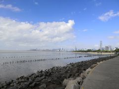 -深圳湾公园(南山区)