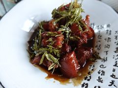 -帐篷客·溪龙茶谷度假酒店