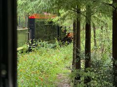 -合肥滨湖国家森林公园