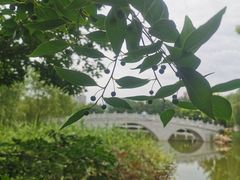 -大连植物园