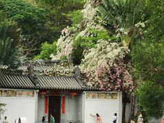 -深圳国际园林花卉博览园