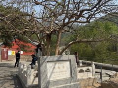 -潭柘寺景区