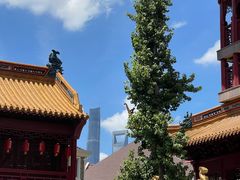 -钦赐仰殿道观
