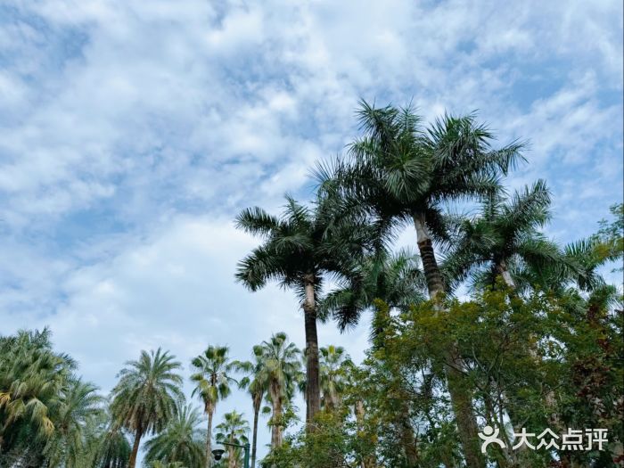 广州珠江公园图片