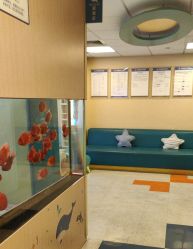 -杭州贝瑞斯美华妇儿医院·早孕·产检·儿科