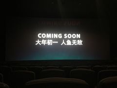 -嘉华国际影城(学清路店)