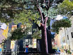 -徐家汇源景区-衡山坊