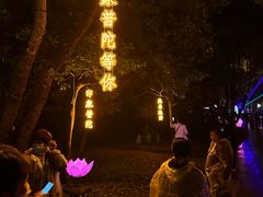 -印象普陀