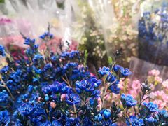 -循礼门鲜花花市(武汉循礼门店)