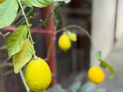 -月栖华明-云间草堂清茶馆(泗泾古镇店)