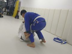 -菠萝格斗巴西柔术训练馆