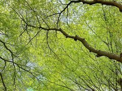 -广州市第二少年宫