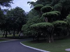 -南宁南湖公园