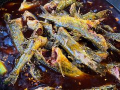 三角峰-金海椒罐罐鲢鱼(东方桂苑店)