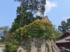 -剑门关风景区