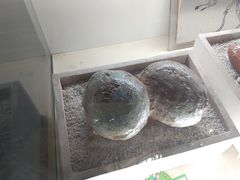 -诸城市恐龙博物馆