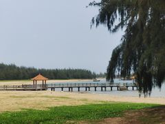 -东郊椰林