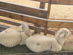 -HERRE·FARM 赫尔露营农场·团建聚会包场