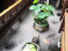 -三只耳火锅(宽窄巷子店)