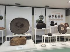 -中国茶叶博物馆(双峰馆区)