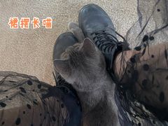 -泰国佛·塔罗·泰牌狐仙古曼