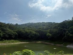 -紫金山山顶公园
