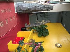 北京九月鹰飞古装摄影工作室(沐兰馆)-九月鹰飞汉服摄影工作室