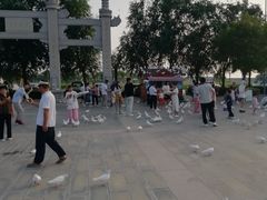 -天津妈祖文化园