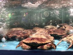 -王庄阿咪海鲜大排档(象园店)