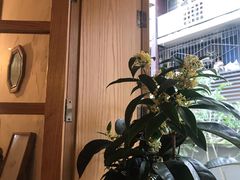 -懒鱼时光馆(沙坪坝店)