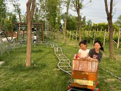 -圣露庄园·亲子活动乐园·露营·团建婚礼