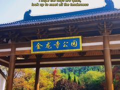 -金龙寺国家森林公园