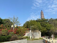 -顺峰山公园