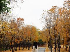 -东海森林温泉度假酒店