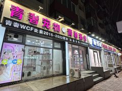 -青奢宠物·青奢猫舍