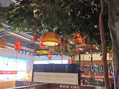 -成老灶火锅鸡(平山店)