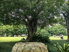 -南宁南湖公园
