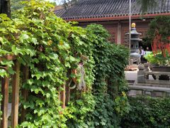 -灵岩山风景区