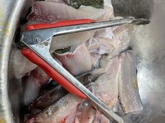 -蒋二哥美蛙鱼莊(天辰路店)