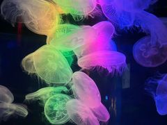 -太平洋海底世界