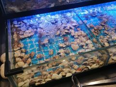 -透明思烤·自助烤肉海鲜火锅(东部星悦天地店)