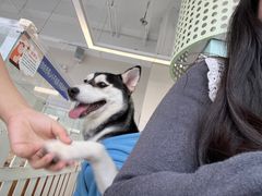 -怪兽屋·羊驼·猫咖·狗咖(俊华广场店)