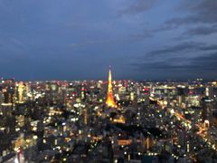 -六本木新城展望台(东京城市景观)