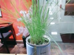 -学习谷日语培训日本留学·多语种外语教学(海淀人大分部)