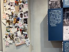 -伟伟宠物医院·CT影像中心·瑞派犬猫综合性门诊(汉口总院)